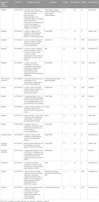 How to sensitize glioblastomas to temozolomide chemotherapy: a gap-centered view